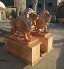 Garden decoration Stone walking lions pink marble animal sculpture,stone carving supplier