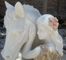 Sculpture of wearing a flower and horse bust /Nature polishing statue supplier