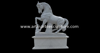 China Life size outdoor garden marble horse statue,stone horse sculptures for park supplier