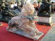 One pair of Lions sculpture from China supplier