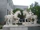 marble animal sculpture with nature stone,,China stone carving Sculpture supplier supplier