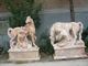 Lions sculpture with nature stone supplier