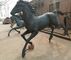 New Bronze horse sculptures ,outdoor brass horse statues for sculptor and artist, China sculpture supplier supplier