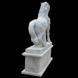 Life size outdoor garden marble horse statue,stone horse sculptures for park supplier