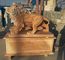 Garden decoration Stone walking lions pink marble animal sculpture,stone carving supplier supplier