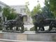 Marble stone sculpture walking lions sculpture,outdoor stone sculpture supplier supplier